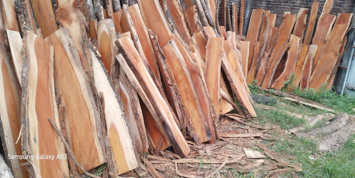 Jackfruit wood Slab